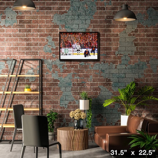 Connor McDavid 20" x 29" Framed Canvas Oilers Celebration 31.5" x 22.5"